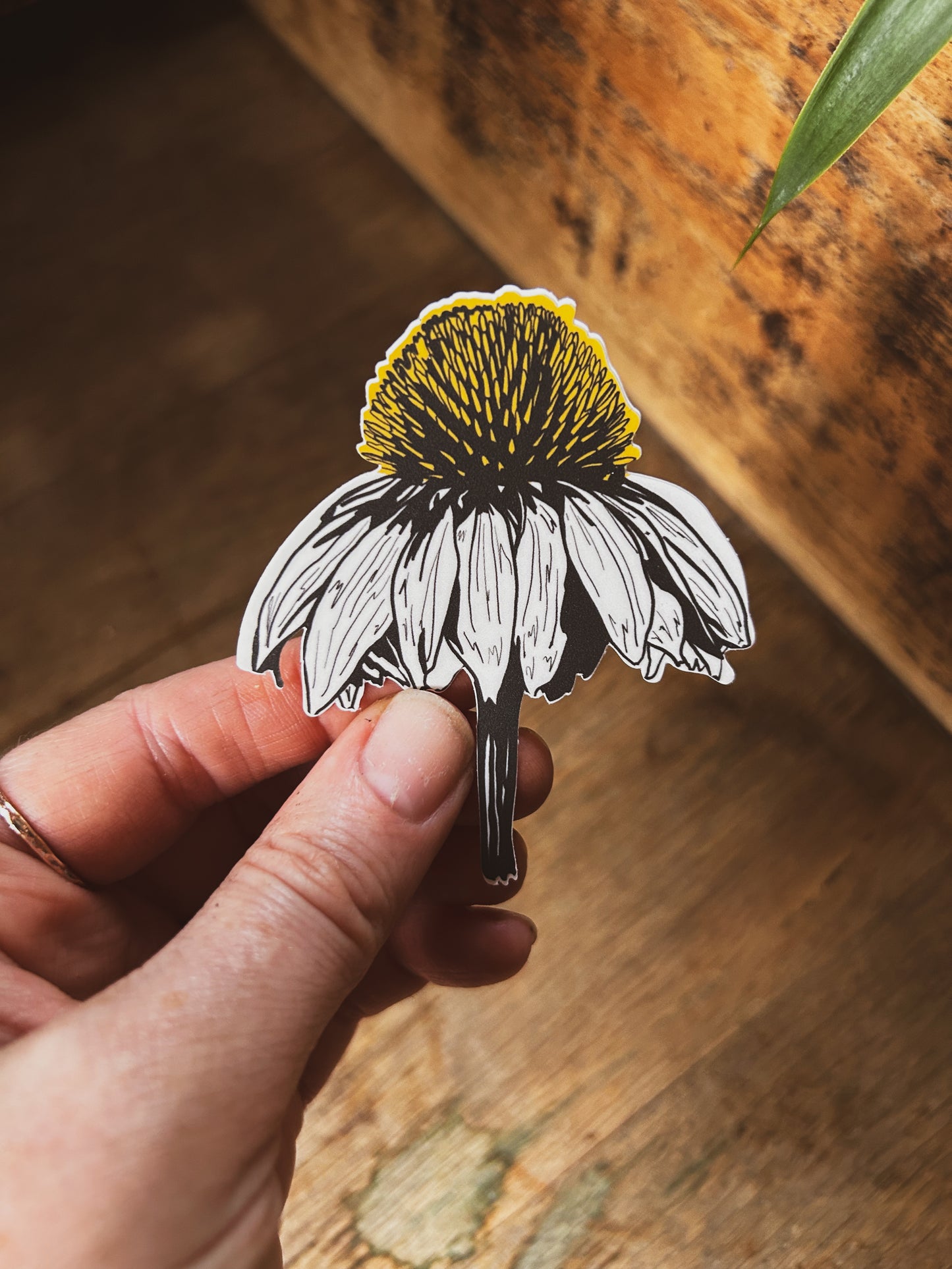 Coneflower Sticker