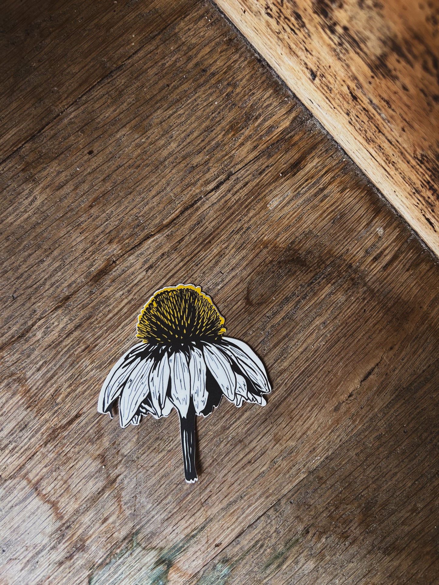 Coneflower Sticker