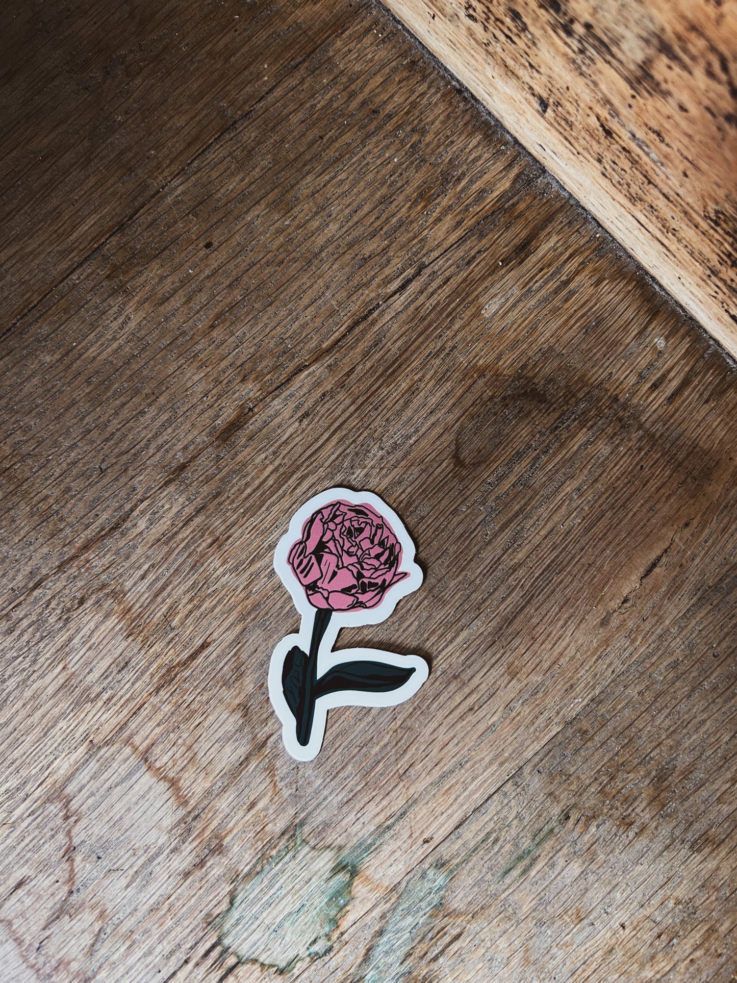 Pink Peony Sticker